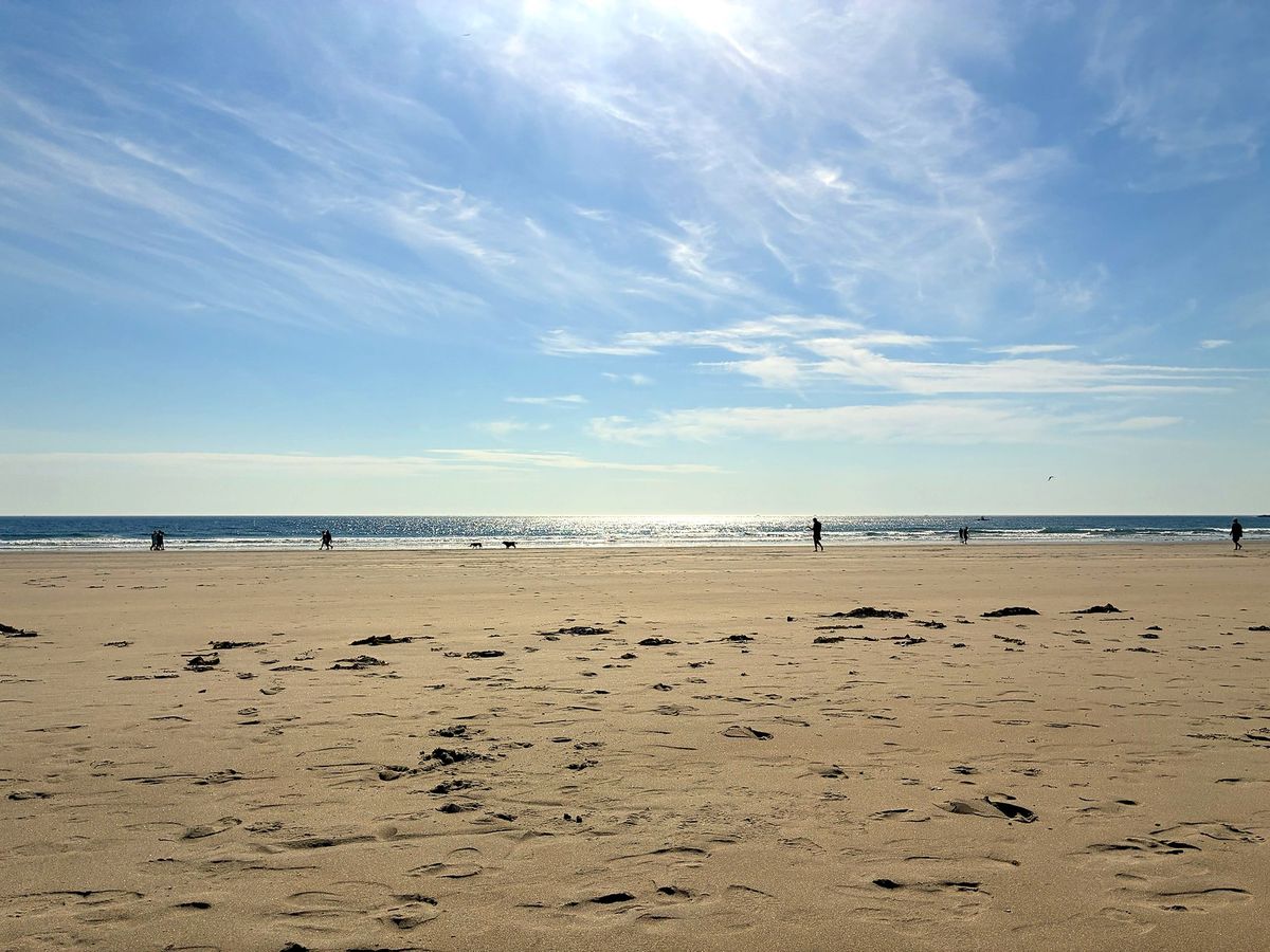 Wide, flat sand at Good Harbor Beach at low tide under a blue sky streaked with thin clouds, with people and two dogs walking along the water's edge in silhouette