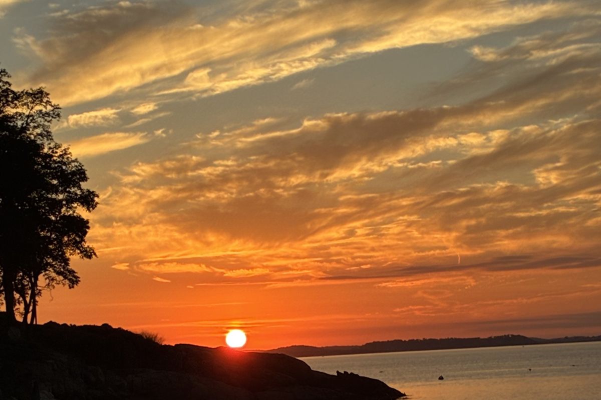 The sun setting over calm water and dark rocks on the Gloucester shore, with a tree silhouetted at left