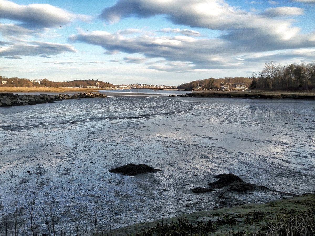 Tidal flats in Annisquam at low tide