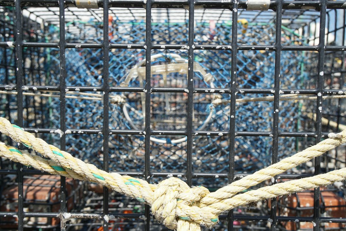 Lobster traps of wire, rope and plastic